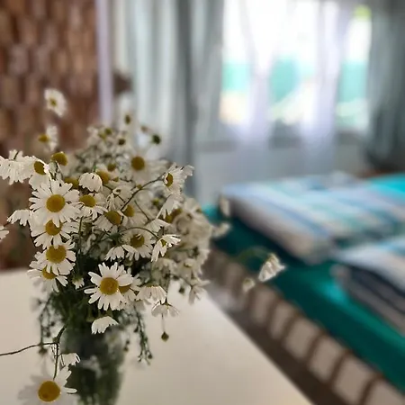 Marina Arka Noego Dom wakacyjny Krzeszow (Kamienna Gora)