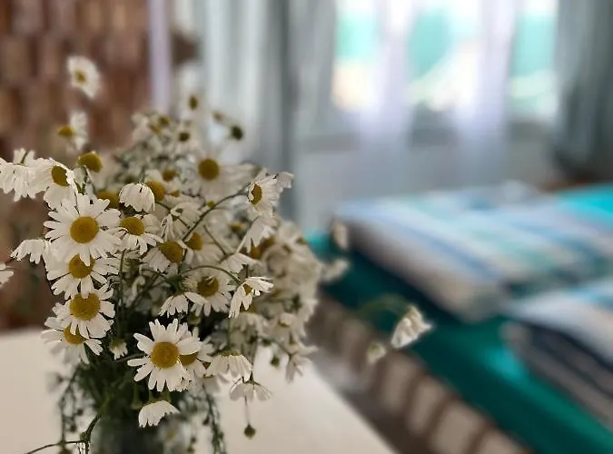 Marina Arka Noego 펜션 Krzeszow (Kamienna Gora)